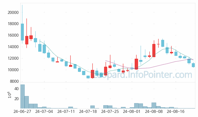 하이젠알앤엠 주가 및 거래량 일봉 캔들 차트 2024.08.22